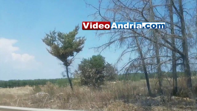 Andria: ancora fumo nero e puzza ai danni della comunità, video e foto