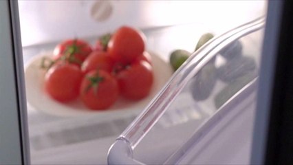 Keep Your Summer Produce Fresh with These Fun Storage Containers That Really Work