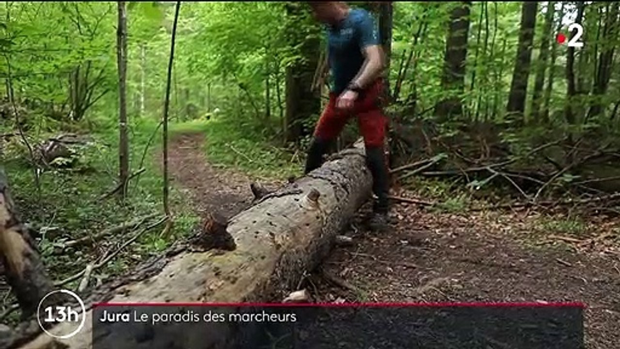Jura : le paradis des marcheurs et randonneurs