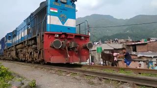 CRAZY MULE GOT HIT by TRAIN and STOPS IT - Indian Railways