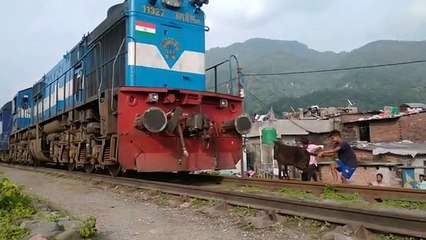 CRAZY MULE GOT HIT by TRAIN and STOPS IT - Indian Railways