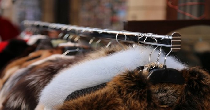 Israël devient le premier pays à interdire le commerce de fourrure animale pour la mode
