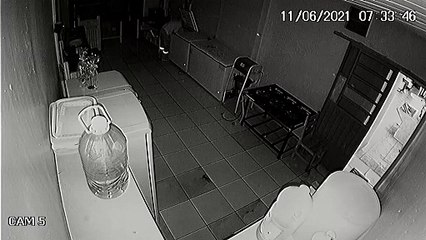 Câmera registra furto em uma pastelaria localizada no Bairro Coqueiral