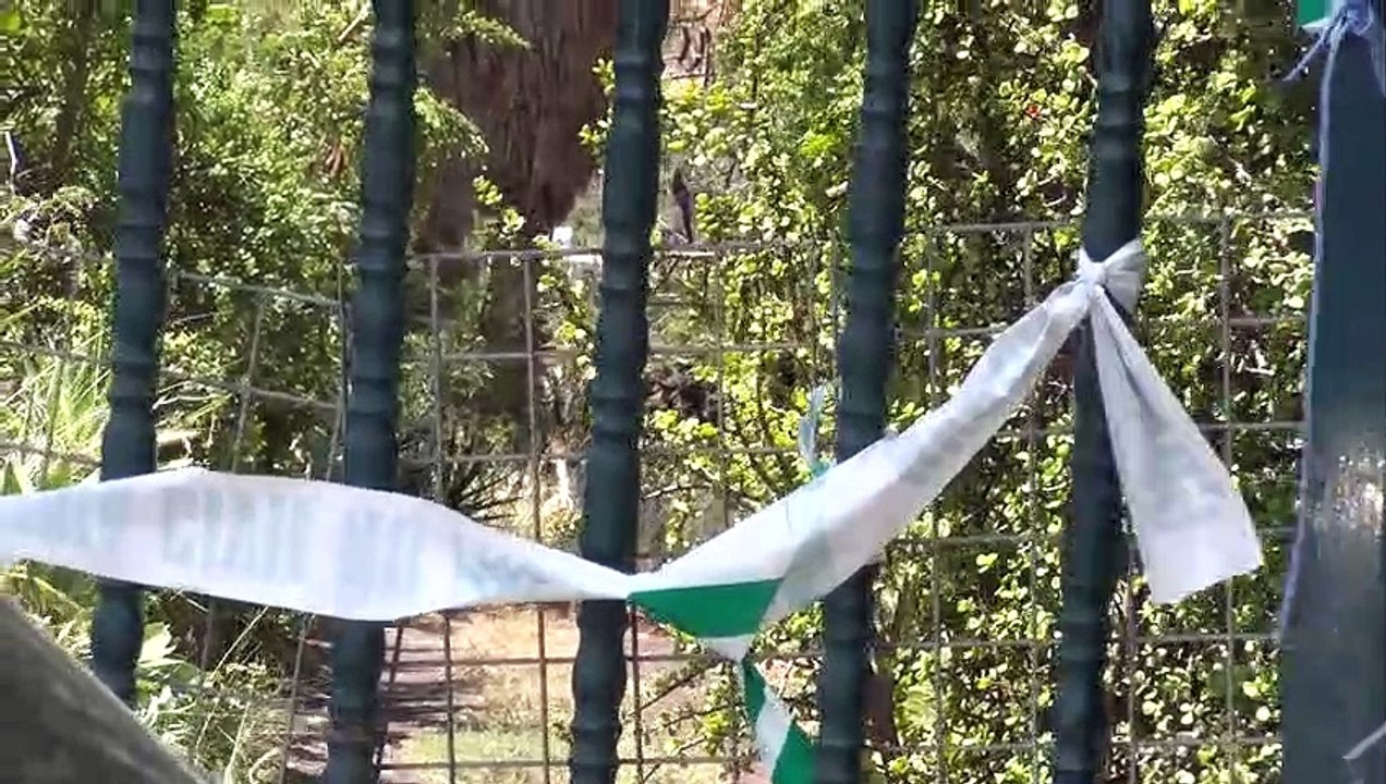 Personalidades muestran su dolor por los casos de violencia de género