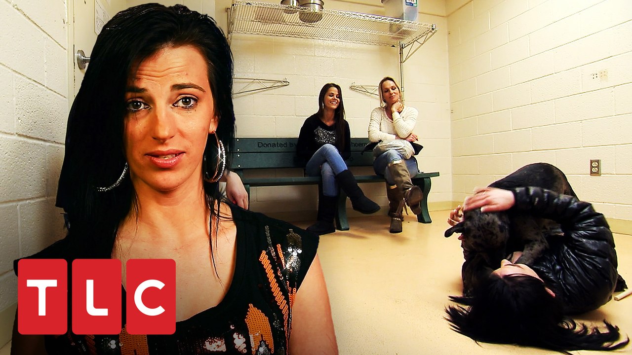 Família visita um abrigo de animais de estimação | Irmãs Ciganas | TLC Brasil