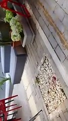 Καίτη Φίνου: Καταγγέλλει εκπαιδευτικό ότι χειροδίκησε σε παιδί - Άγριος καβγάς μεταξύ τους