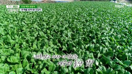 소비자 입맛 사로잡은 갓김치 맛의 비결은?!