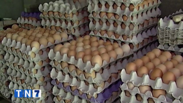 tn7-camara-nacional-de-avicultores-denuncia-sobreprecio-en-huevos-110621