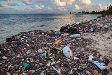 Fast-Food Waste Is Rapidly Filling the Ocean With Plastic