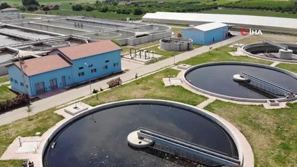 Ege'de müsilaj oluşumunu engellemek için çalışmalara başladılar