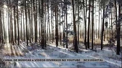 CANAL DE MÚSICAS, VÍDEOS DIVERSOS NO YOUTUBE, NC21DIGITAL