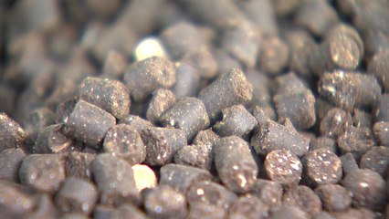 [新농비] 가축 분뇨 냄새 '확' 줄인 알갱이 퇴비...베트남 첫 수출 / YTN