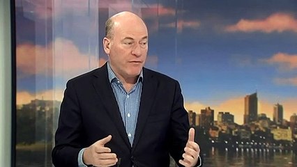 Liberal MP says Biloela family should be allowed to stay in Australia