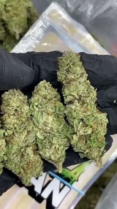 Gelato #33 has a unique flavor that's said to be much like a sweet sherbet, with a mixture of fruity blueberry and a hint of citrus flavors. The aroma, a sweet, lavender citrus berry bouquet has benefits all of its own.