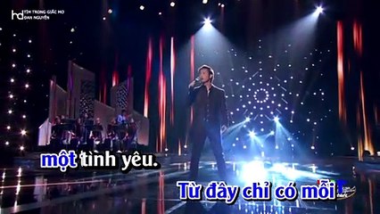 TIM TRONG GIAC MO - DAN NGUYEN