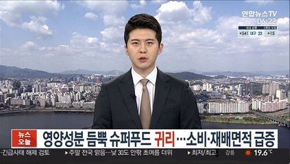 영양성분 듬뿍 슈퍼푸드 귀리…소비·재배면적 급증