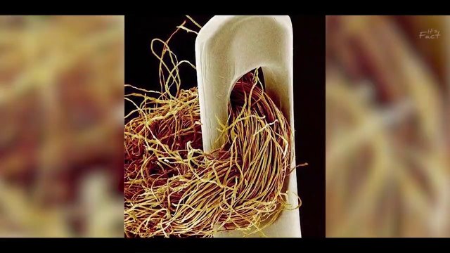 अब फ़ोन का बैटरी निकलता क्यों नहीं_ _ Why Phone Companies Removed Removable Batteries _ FE EP#02