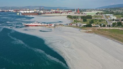 Karar Resmi Gazete'de! Meclis'te deniz salyasına yönelik bir araştırma komisyonu kurulacak