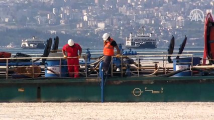 Yalova'da müsilaj temizliği
