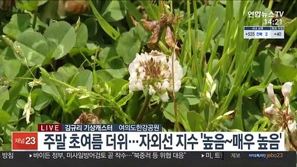 [날씨] 주말 30도 안팎 더위…저녁까지 경남 비 조금