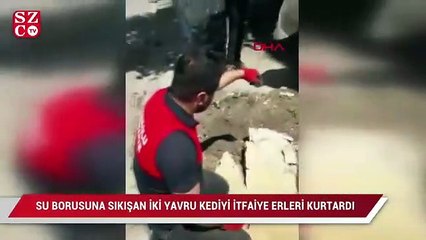 Su borusuna sıkışan 2 yavru kediyi itfaiye ekipleri kurtardı