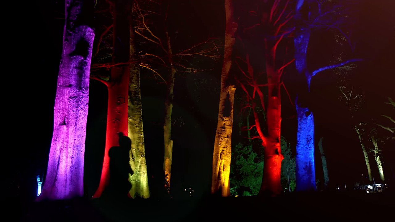 Christmas At Temple Newsam 2021 Lights spectacular to dazzle in Leeds