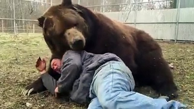 Ayıdan dost olur mu demeyin! İzleyin görün...