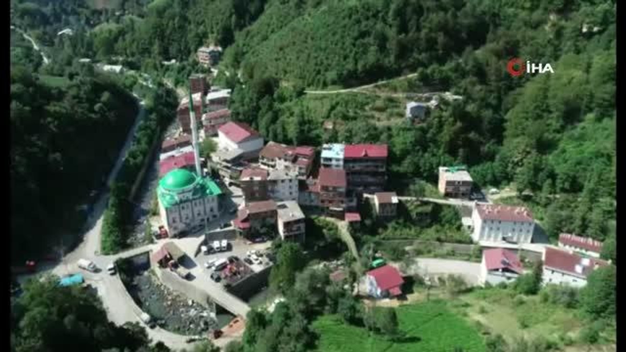 Artvin Valisi Doruk, çay bahçesine girdi çay topladı