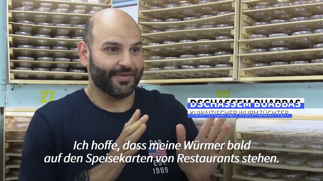 'Superwürmer' als Super Food