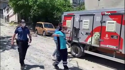 Yine pitbull dehşeti! Genç kızı köpeğin ağzından mahalleli kurtardı