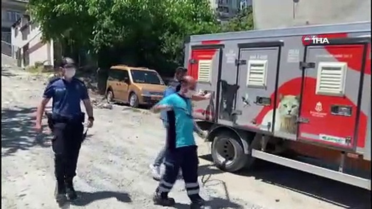 16 yaşındaki kıza pitbullar saldırdı! O anlar böyle görüntülendi