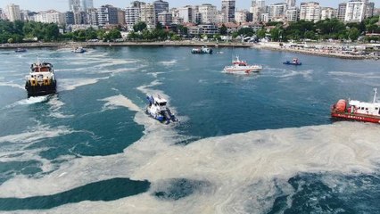 Nöroloji uzmanından müsilaj uyarısı: Kabuklu deniz canlıları tarafından süzülebilir, tüketilirse felç riski var