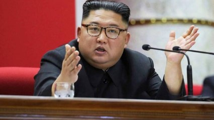 Kim Jong orders to shoot the birds coming from China border