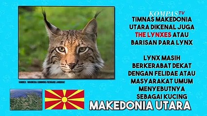 5 Tim Piala Eropa 2020 dengan Julukan Terunik, Ada Jagoanmu?