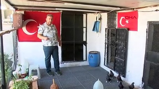 Güvercinleri için 40 bin tl'ye oda yaptırdı; yemlerine yılda 20 bin tl harcıyor