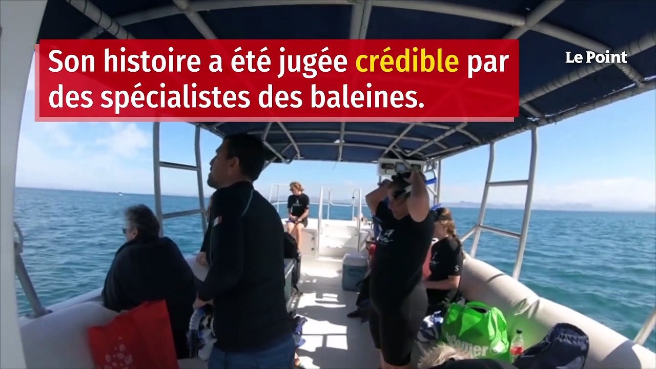 Un pêcheur de homards avalé par une baleine à bosse mais sain et sauf