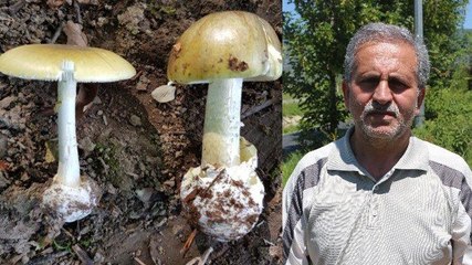 Prof. Dr. Türkekul’dan ‘ikiz mantar’ uyarısı