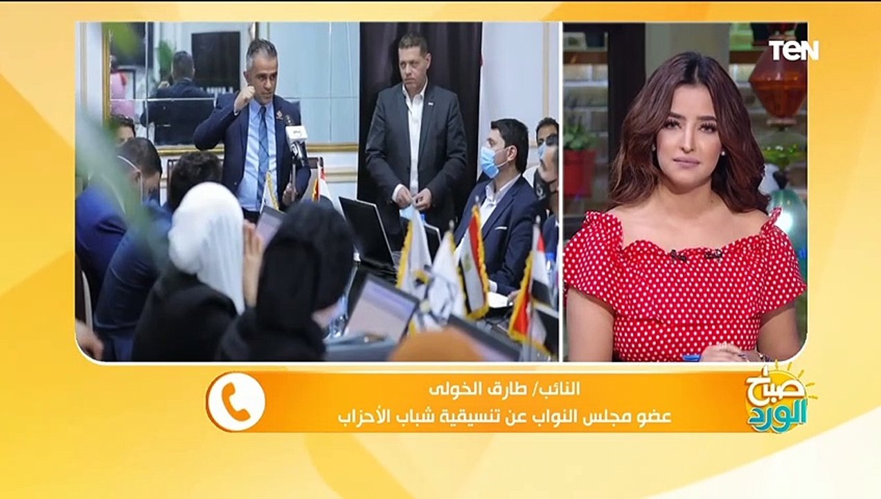 النائب طارق الخولي: هدف تنسيقية شباب الأحزاب ملء الفراغ السياسي وأن نكون مصنع للكوادر السياسية