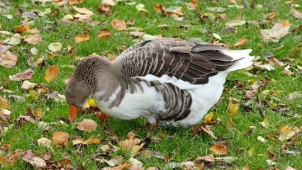 Wonderful Captured I Enjoy and Pls Like