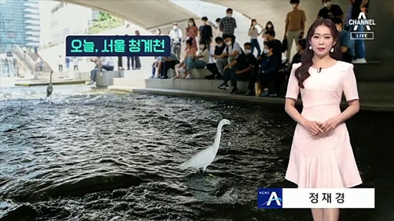 [날씨]내일 한여름 더위…남부 비