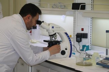 Marmara Denizi'nde görülen müsilaja "mikroalg" florası tespiti