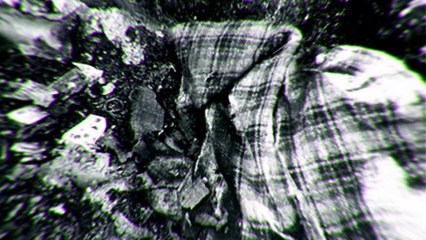 Nadie supo quién era ni qué hacía allí El Caso de la Mujer más Misteriosa de Europa