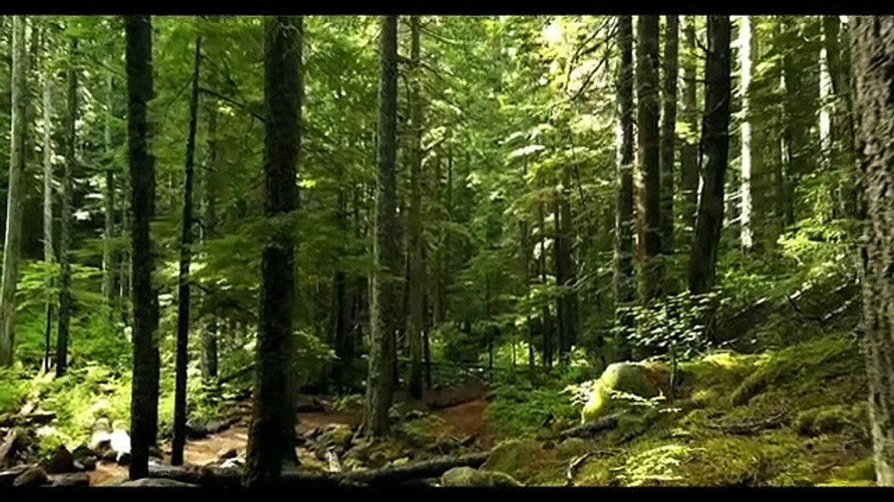 10 Minute Meditation