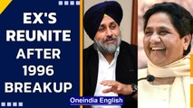 Mayawati’s BSP reunites with Akali’s SAD ere 2022 Assembly Elections in Punjab & UP | Oneindia News