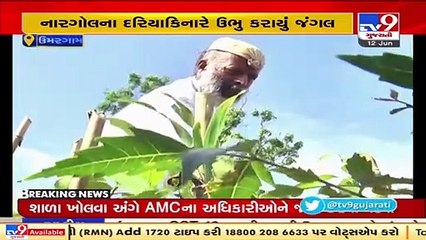 World's Biggest Miyawaki forest being grown at sea shore of Nargol village, Valsad _ TV9News