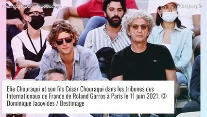 Roland-Garros : Julien Clerc et sa femme admiratifs, Tony Parker et sa belle Alizée aussi, les VIP se régalent
