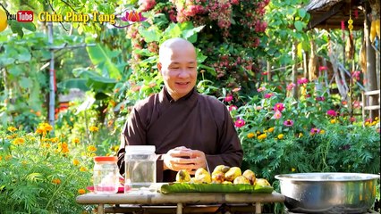 Đẹp Da, Trúng Thực, Xoa Bóp Đau Khớp Trặc Tay, Ngậm Răng Miệng Đau Lở/ Cashew Fruit. Chùa Pháp Tạng