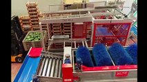 Amazing Fruit Processing in Factory - Peach, Cherry, Passion Fruit Processing Line - Peach Harvest