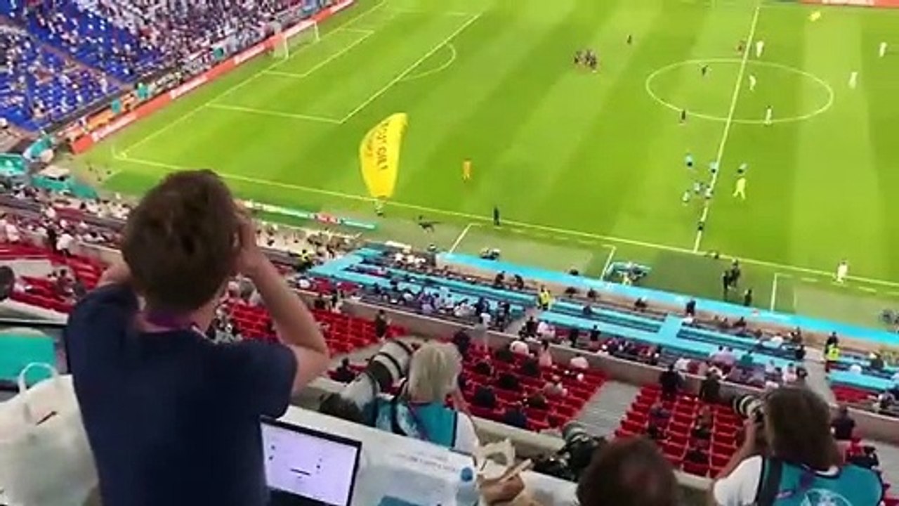 Un activiste de Greenpeace manque de s'écraser en tribune avant France-Allemagne