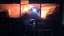 KIRKLARELİ - Büyükbaş hayvan çiftliğinde yangın çıktı